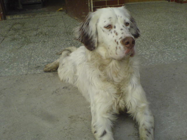 DSC00185.JPG