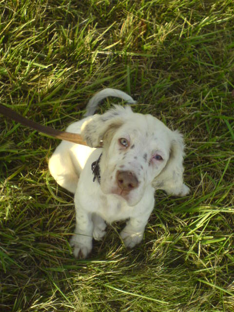 DSC00033.JPG